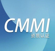 什么,是,CMMI,CMMI,是指,实施,的,一种,软件,能