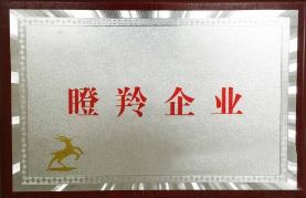 瞪羚,企業(yè),認,定有,哪些,程序,瞪羚,項目,認定,